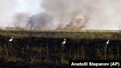 Горящее поле на юге Украины. 4 июля 2023 года