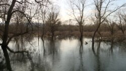 TV Liberty: Profit ispred okoliša TV Liberty: Profit ispred okoliša