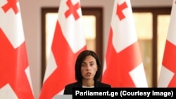 ანა წითლიძე, ნაციონალური მოძრაობა