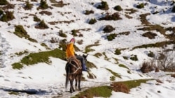 'Bez Kosova bi umrli': Albansko selo Borje zavisi od pomoći sa druge strane granice 'Bez Kosova bi umrli': Albansko selo Borje zavisi od pomoći sa druge strane granice