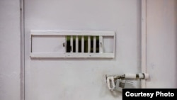 Иллюстративное фото