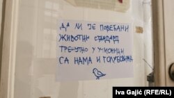 Studenti ističu loše uslove za studiranje u zgradi Arhitektonskog fakulteta.