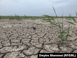 Висохле Каховське водосховище у Запорізькій області