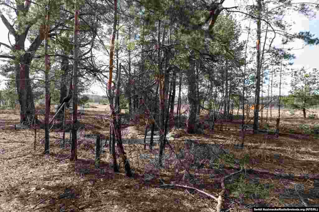 Український військовий 10-ї окремої гірсько-штурмової бригади «Едельвейс» тримає трофейний автомат Калашникова АК-12, захоплений під час бою з російськими військами, Київщина, березень 2022 року / Те ж саме місце у березні 2024 року