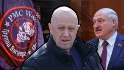 Новое гнездо Новое гнездо