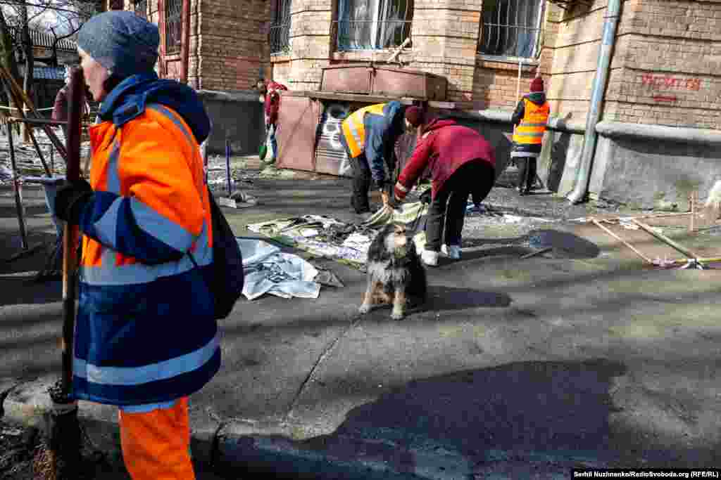 Від російських обстрілів по Україні страждають не тільки люди, але й тварини. Київ, 21 березня 2024 року. Попри докази і свідчення, Москва від початку&nbsp;повномасштабного вторгнення&nbsp;заперечує цілеспрямовану&nbsp;атаку на цивільних