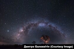 Протягом багатьох років Дмитро фільмував природу Донеччини