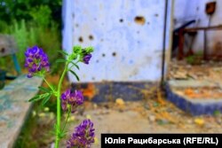 Деокупована Херсонщина, Білозерський район, червень 2023 року