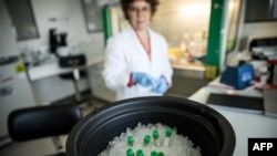 Një mjeke duke punuar në një vaksinë për kancer të mushkërive. Fotografi ilustruese nga arkivi.