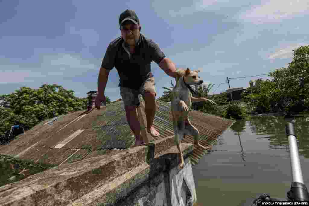 Волонтер рятує собаку з даху. Багато жителів були змушені нашвидкоруч залишити свої будинки через стрімко зростаючий рівень води