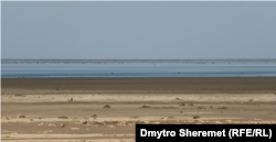 Висохле Каховське водосховище, Нововоронцовка Херсонської області, червень 2023 року