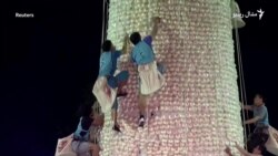 د خوږو راټولولو مېله مو کتلې؟
