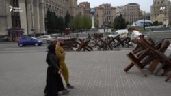 Возможно ли увольнение Залужного? Возможно ли увольнение Залужного?