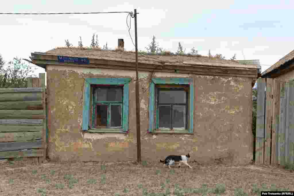 Kuća u Sajhinu. Železnička pruga deli Sajhin na dva dela – stari i novi. U novom delu su bolnica, dom kulture, prodavnice i frizerski salon. Žitelji zapuštenog starog dela svoj kraj zovu "Šangaj" i sebe smatraju prvobitnim stanovnicima sela.