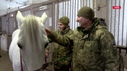 Іпотерапія: як коні допомагають українським військовим під час реабілітації (відео) Іпотерапія: як коні допомагають українським військовим під час реабілітації (відео)