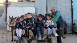 د غزې تړانګې کډوال په خرګاډي کې بچي ښوونځیو ته لېږدوي د غزې تړانګې کډوال په خرګاډي کې بچي ښوونځیو ته لېږدوي