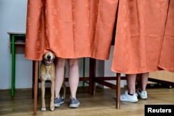 Вибори до Європарламенту в Угорщині