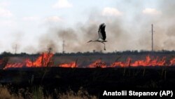 Місцева влада ще встановлює масштаби збитків. Фото ілюстративне