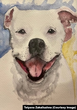 Адік з Азовсталі, якого вкрали російські військові