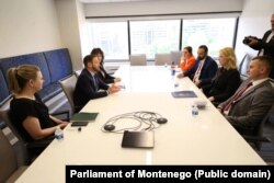 Predsjednica Skupštine Danijela Đurović sa predstavnikom IRI Skotom Mastikom