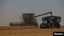 Фермери в окупації змушені працювати у невигідних для себе умовах