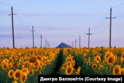 Дмитро каже, що зараз на службі фотографувати часу у нього немає