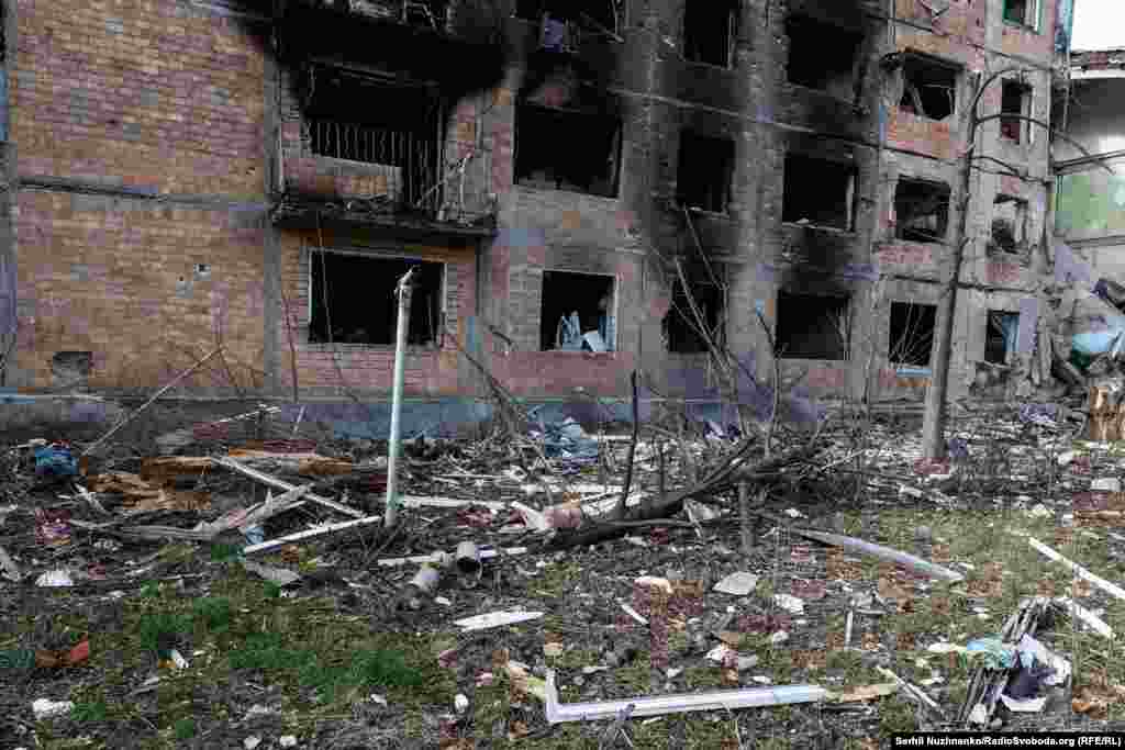 У майже зруйнованому місті багато покинутих домашніх тварин. Вони потрохи дичавіють і вже майже не йдуть до людей