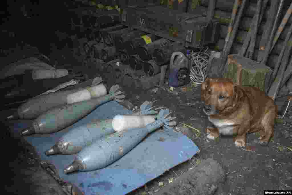 Через затримки в постачанні західного озброєння та боєприпасів Україна намагається хоча б частково закрити потреби фронту власними силами. Згідно з даними української влади, у 2023 році різко зросло українське виробництво мінометів калібру 60, 82 та 120 мм. Донеччина, 3 березня 2024 року  