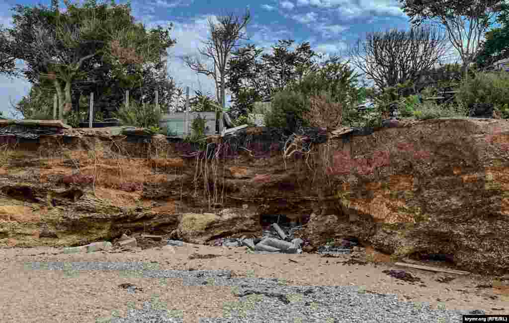 Хоть устраивай под открытым небом школьный урок с географии или биологии. Ведь «под срезом» – вся структура здешнего прибрежного грунта, с желто-красными глинами, прослойками песчаников и конгломератов. Вместе с другим пока еще живым «наглядным пособием» – корневой системой многолетней флоры