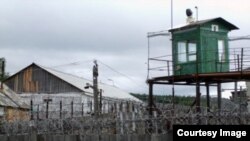 Иллюстративное фото