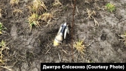 Заміноване поле в Миколаївській області