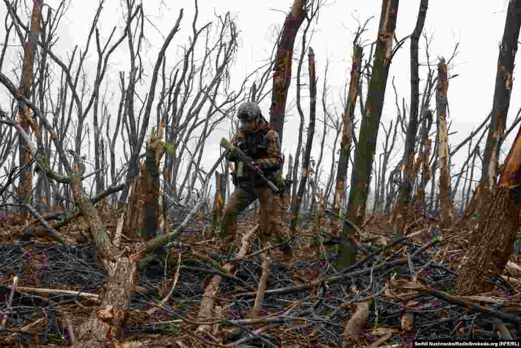 Убитий ліс... Військовий 10-ї окремої гірсько-штурмової бригади «Едельвейс» під час штурму позиціях Збройних Сил РФ. Район Бахмута,11 травня 2023 року
