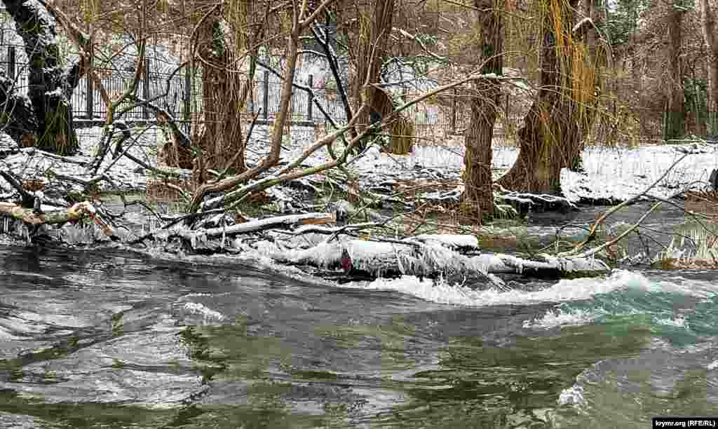 Последствия ноябрьского «древопада» в районе улицы Гурзуфская в Симферополе.