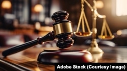 Суд, зокрема, поклав на очільника підприємства низку процесуальних обов’язків