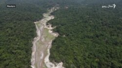 امازون سيند د وچکالۍ له کبله د وچېدو له خطر سره مخامخ شوی دی
 امازون سيند د وچکالۍ له کبله د وچېدو له خطر سره مخامخ شوی دی