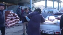 Зардолу дар Суғд имсол фаровону арзон шуд, аммо нарх ...
 Зардолу дар Суғд имсол фаровону арзон шуд, аммо нарх ...