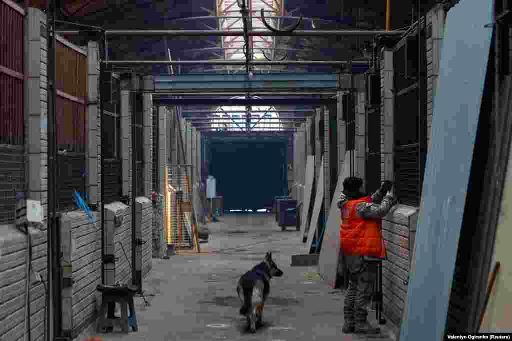 Спочатку для фінансування притулку жінка використовувала дохід від свого кінного бізнесу. Але після початку повномасштабного вторгнення Росії в Україну він перестав приносити прибуток. Тепер Наталія присвячує свій час догляду за вихованцями притулку та рятує тварин на лінії фронту