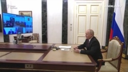 Права человека Путина Права человека Путина