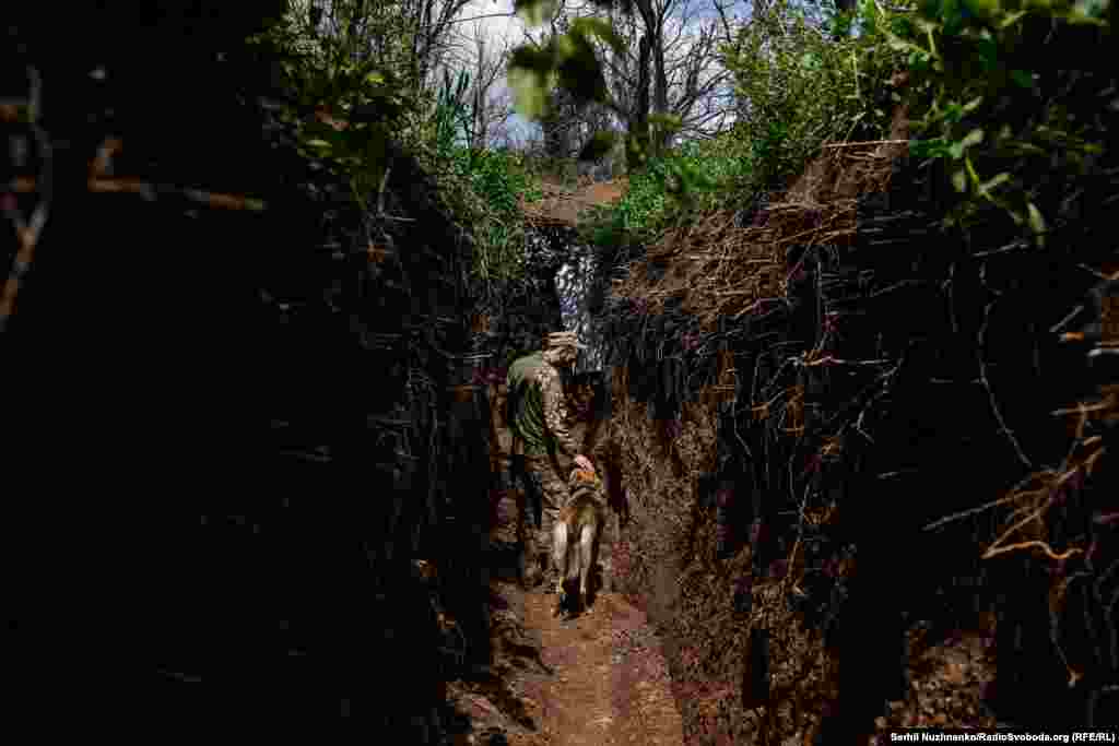 Український військовий і пес «Кубик» продовжують оберігати й захищати спокій українців вдень і вночі. Позиції ЗСУ, район Красногорівки і Мар’їнки. Донецька область, травень 2023 року Учасники походу під командуванням генерал-полковника Армії УНР Михайла Омеляновича-Павленка подолали понад 2500 кілометрів територією сучасних Житомирської, Київської, Черкаської, Кіровоградської, Миколаївської, Одеської, Вінницької областей. Вони провели майже 50 переможних боїв. «Похід став однією з найгероїчніших і найуспішніших бойових операцій часів Української революції 1917−1921 років», – нагадує Інститут національної пам’яті