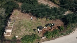 Nestale generacije Nestale generacije