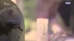 Форумы сотворённые Кириенко Форумы сотворённые Кириенко