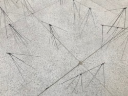 Инсталляция художницы Юлии Макеевой "В любой момент. Сейчас"