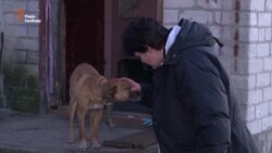 Нам говорили, що на обмін ми можемо не розраховувати – заручниця угрупування «ЛНР» (відео) Нам говорили, що на обмін ми можемо не розраховувати – заручниця угрупування «ЛНР» (відео)