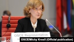 Після перших повідомлень про затримання Протасевича 23 травня представниця ОБСЄ назвала його «дуже тривожним»