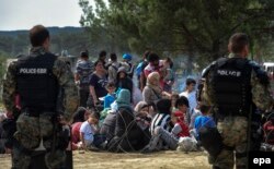 Македонські спецслужби охороняють незаконний перетин кордону між Македонією та Грецією, недалеко від міста Гевгелія. 21 серпня 2015 року