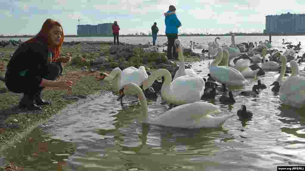 «Общение с птицами доставляет огромное удовольствие», – признается эта девушка