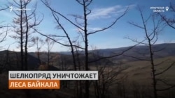 Охрана Байкала приводит к его уничтожению Охрана Байкала приводит к его уничтожению