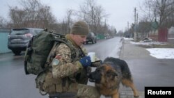 Війна і тварини