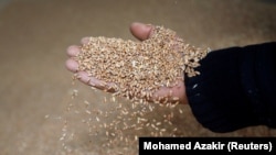 Єврокомісія пропонує створити «маршрути солідарності», щоб Україна могла експортувати зерно, а також імпортувати необхідні їй товари – від гуманітарної допомоги до кормів для тварин і добрив.