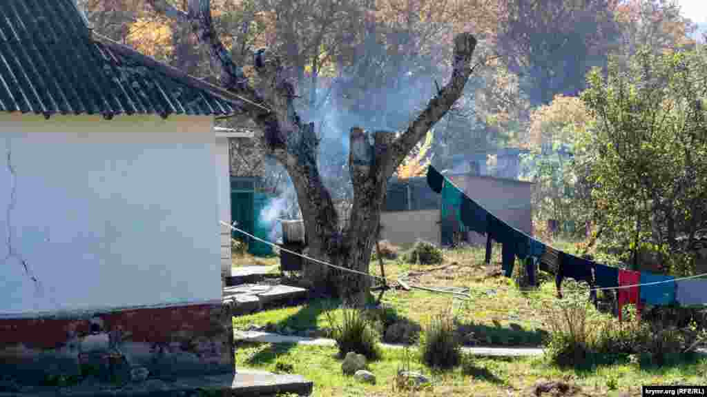 Будни Новополья 